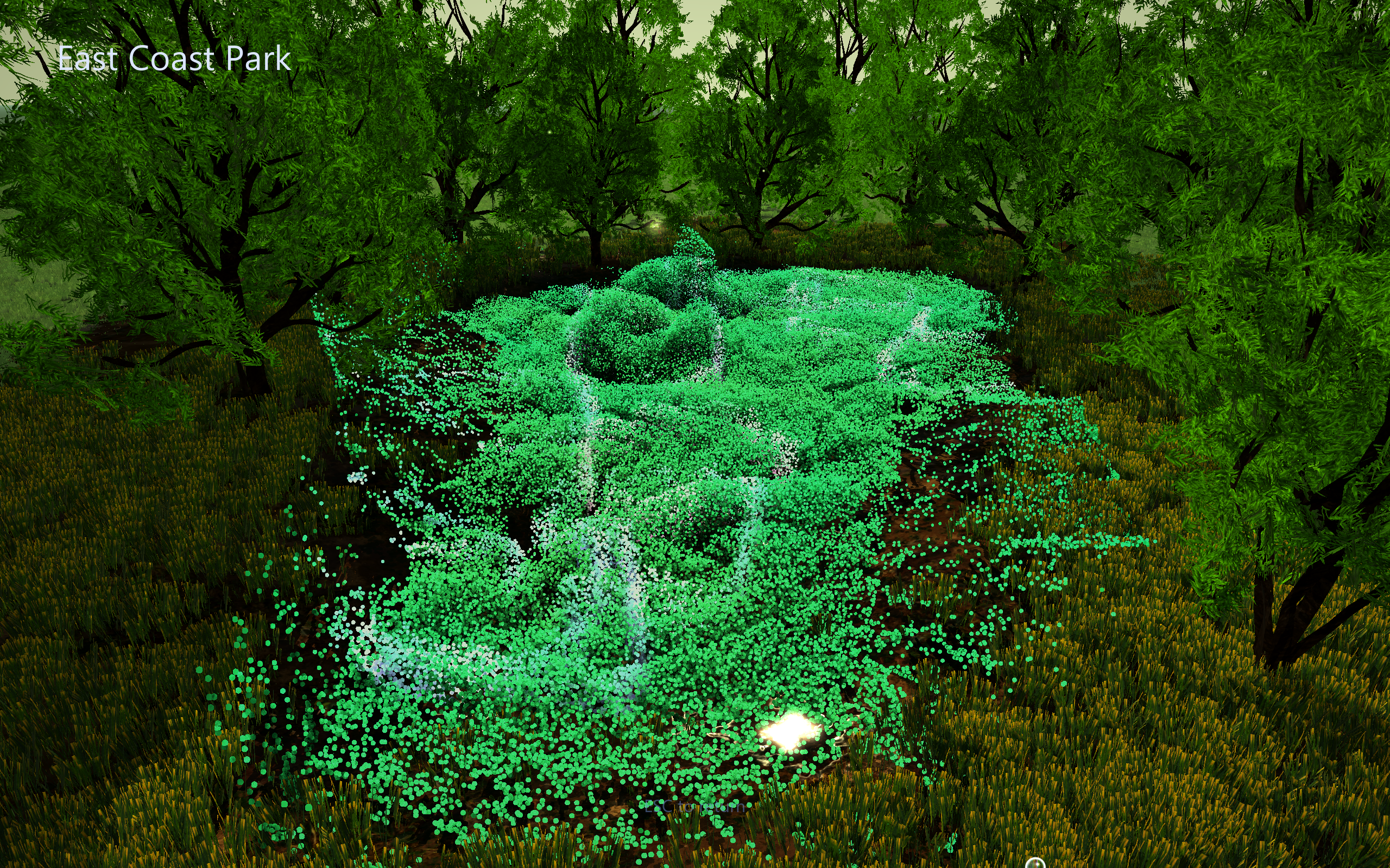 Bioluminescent particles filling the ECP pond